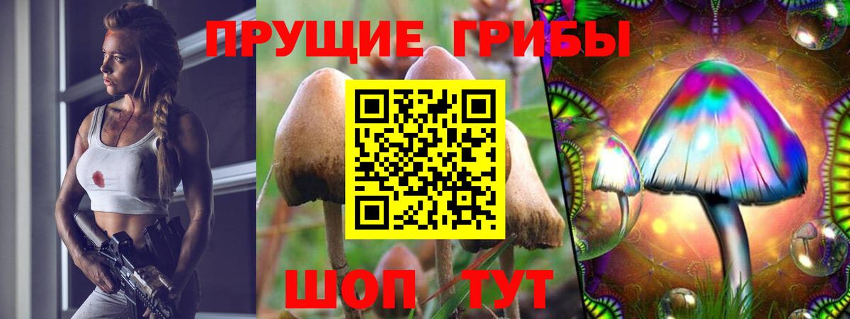 Галлюциногенные грибы Psilocybine cubensis  Псилоцибиновые грибы Magic Shrooms  где купить наркоту  Моздок  Вход с VPN 